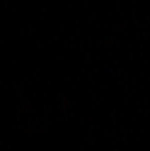 Meet your Posher, Jon